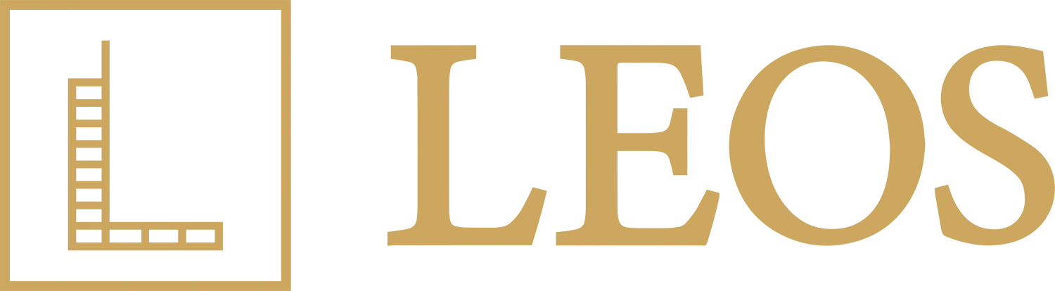 Developer 13.webp