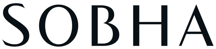 Developer 4.png
